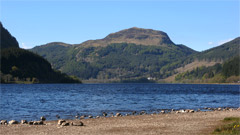 Meall Mor, from Loch Lubnaig.